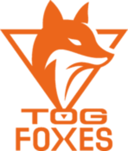 Team Orange Gaming logo