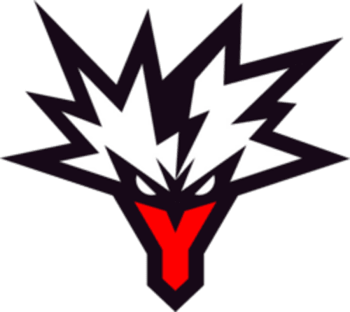 Team Yandex logo
