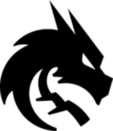 Team Spirit logo