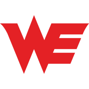 Team WE logo